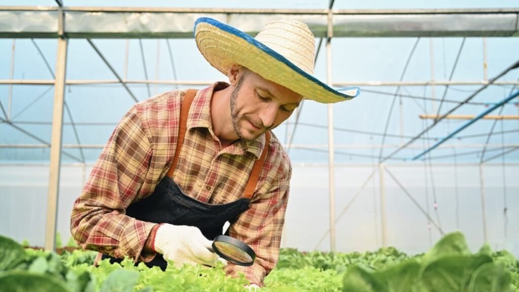 farmer-examining-the-quality-in-hydroponic-greenhouse-e1698040280156-1.jpg