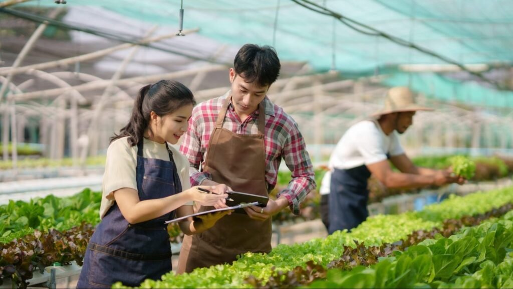 hydroponics-smiling-young-asian-couple-farmer-harvest-organic-vegetable-salad-from-farm-garden-e1698040021703-1.jpg