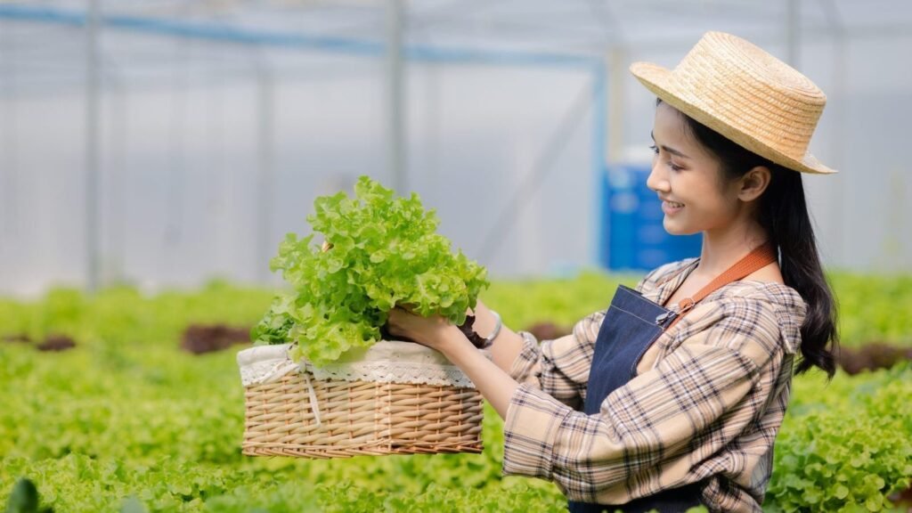 woman-in-the-hydroponic-vegetable-farm-grows-wholesale-hydroponic-vegetables-in-restaurants-and-supe-e1697789890987-1.jpg